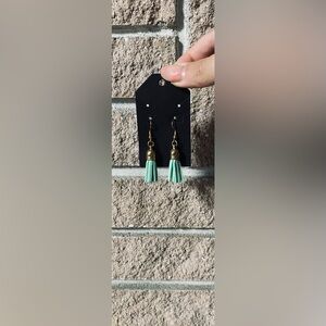 Novelty Tassel Earrings in Suede